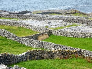 Dry stone walled fields and karst limestone terrain.